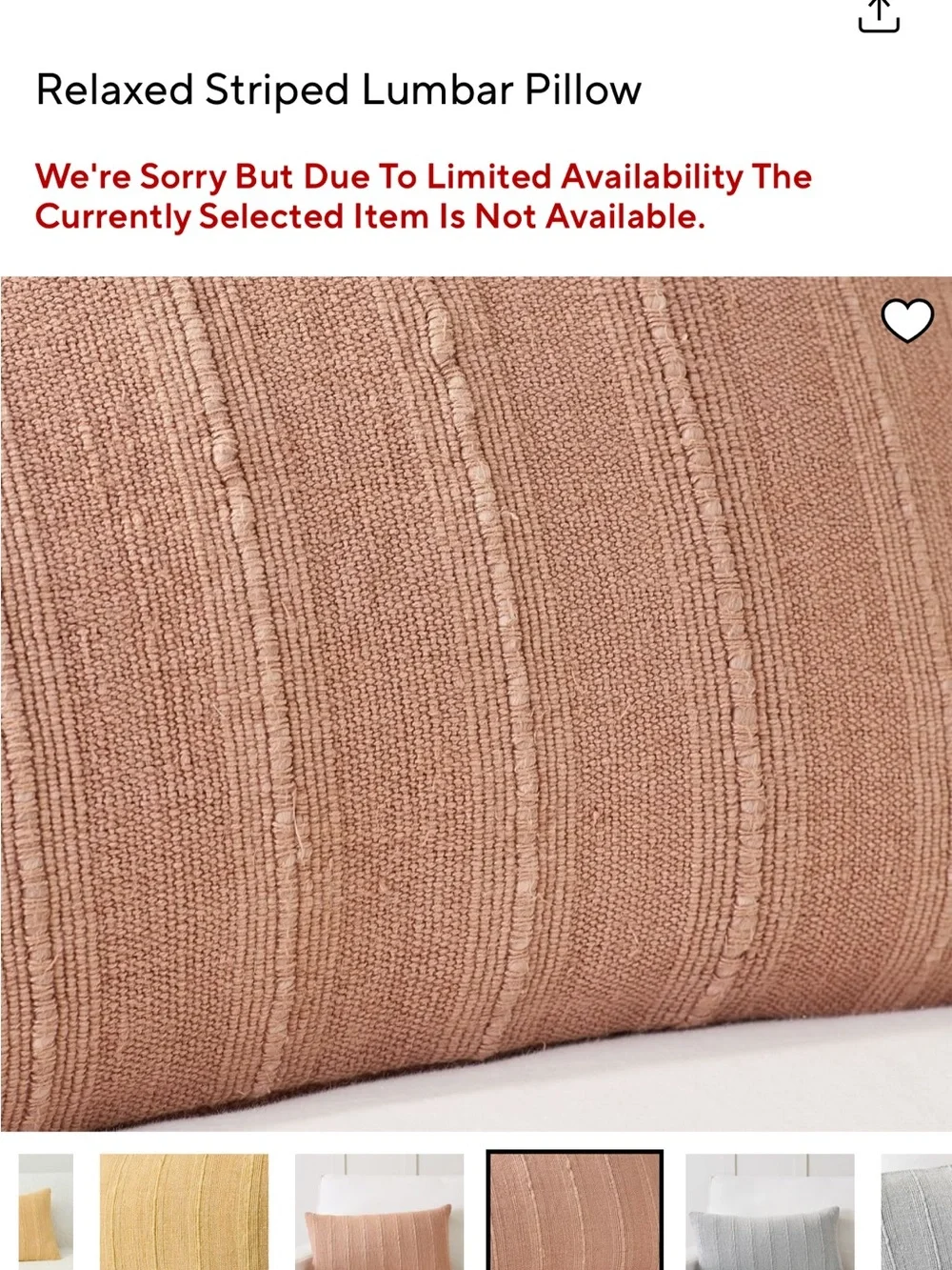 SET OF TWO Pottery Barn throw pillows
